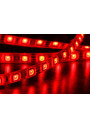 Taśma LED SMD 12V 9.6W/m czerwona 120LED/m IP65 5m ledownia.pl