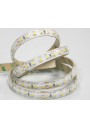 Taśma LED SMD 3528 12V 9.6W/m biała zimna 120LED/m IP65 5m ledownia.pl