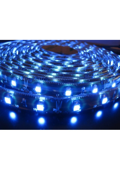 Taśma LED SMD 3528 12V niebieska 60LED/m IP65 5m ledownia.pl
