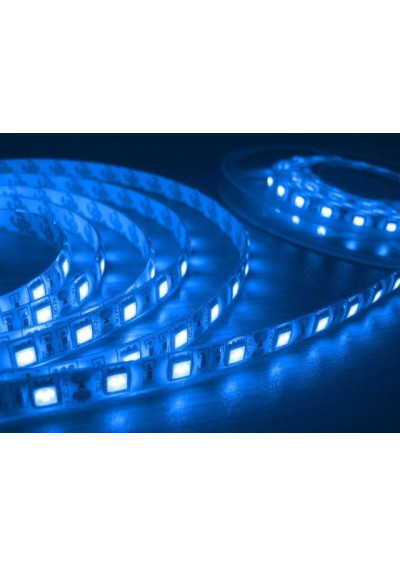 Taśma LED SMD 5050 12V niebieska 60LED/m IP65 5m ledownia.pl