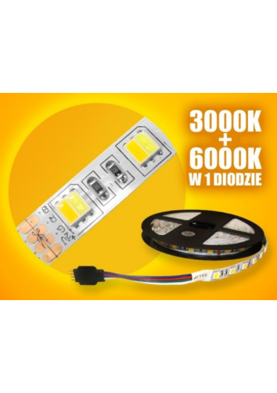 Taśma LED SMD 5050 10mm 12V 14.4W/m 2700-6500K 60LED/m IP20 5m ledownia.pl