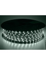 LED strip SMD 3528 8mm 12V 4.8W/m cool white 60LED/m IP20 100m ledownia.pl