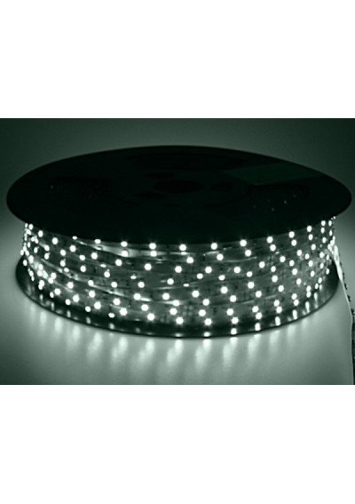 Taśma LED SMD 3528 8mm 12V 4.8W/m biała zimna 60LED/m IP20 100m ledownia.pl