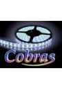 CobususususRAS 5050 LED Strip 5m IP65 | LEDownia.pl