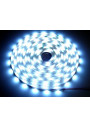 LED strip SMD 5050 10mm 12V 7.2W/m 6000K 30LED/m IP20 5m ledownia.pl