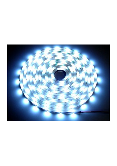 Taśma LED SMD 5050 10mm 12V 7.2W/m 6000K 30LED/m IP20 5m ledownia.pl