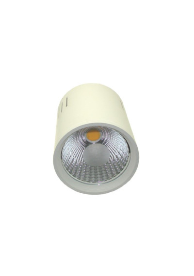 LED Downlight Calyxusususus KIVON 15W DW | LEDownia.pl