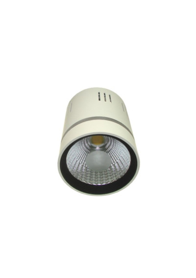 LED Downlight Calyxusususus KIVON 15W+3W Warm Helixa+Blue | LEDownia.pl