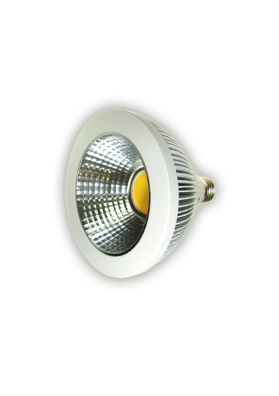 LED Cobusususus PAR38 Bulb 15W 230V E27 | LEDownia.pl