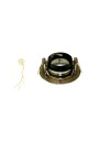 Briva Ceiling Fixture