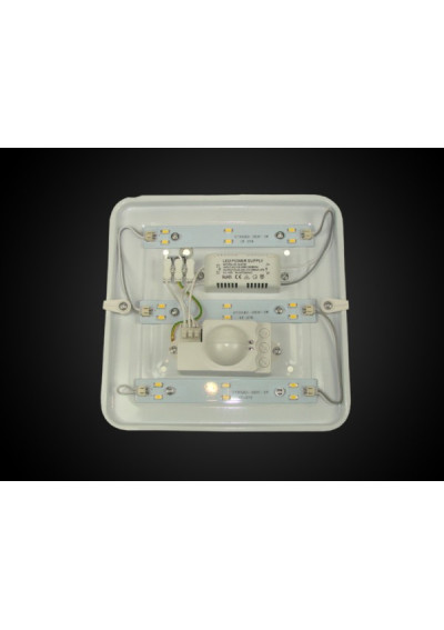 LED Ceiling Light Lumaro 9W DW with Microwave Sensor | LEDownia.pl