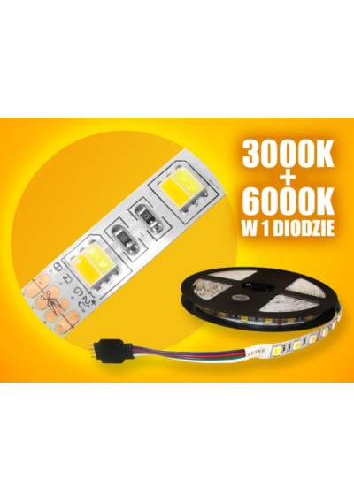 Taśma LED SMD 5050 10mm 12V 14.4W/m CCT 2700-6500K 60LED/m IP20 5m ledownia.pl
