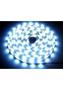 Taśma LED SMD 2835 8mm 12V 4.8W/m 6000K 60LED/m IP20 50m ledownia.pl