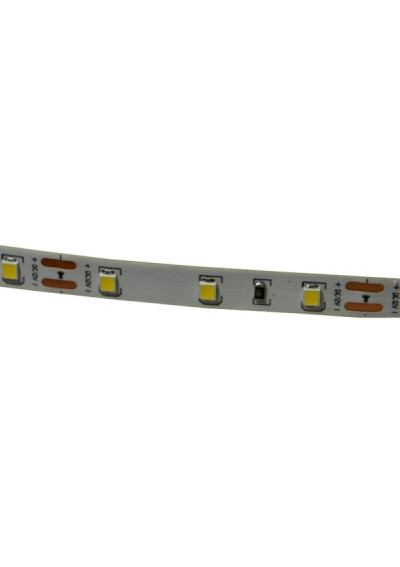 Taśma LED SMD 2835 8mm 12V 4.8W/m 6000K 60LED/m IP20 50m ledownia.pl