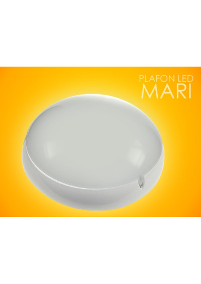 LED Ceiling Light Avera 30W 4000K IP65 | LEDownia.pl