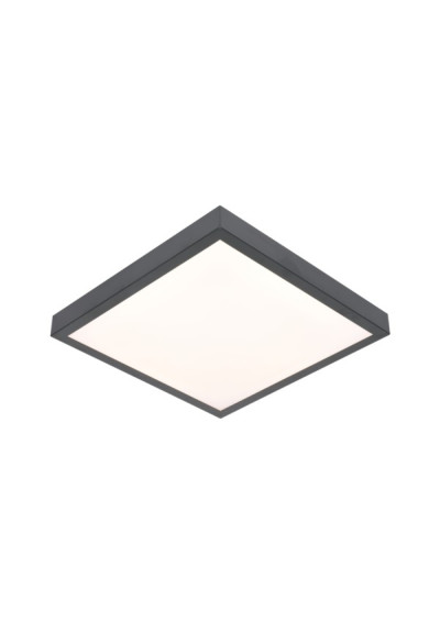 i LED Ceiling Light 24W 4000K Anthracite | LEDownia.pl