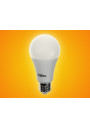 LED Bulb Pitt E27 24V AC/DC 12W 4000K