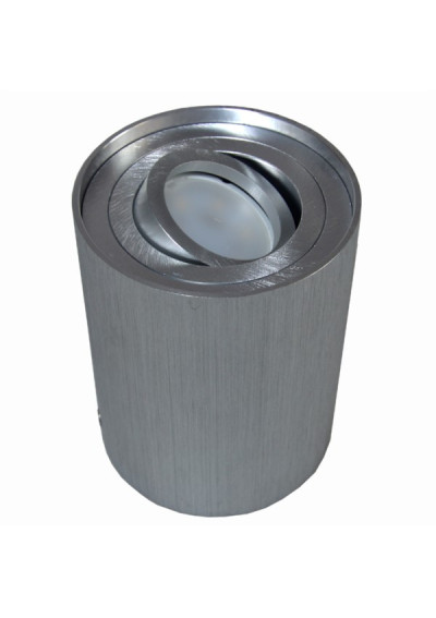 Solvia Brushed Silver Adjustable Ceiling Light | LEDownia.pl