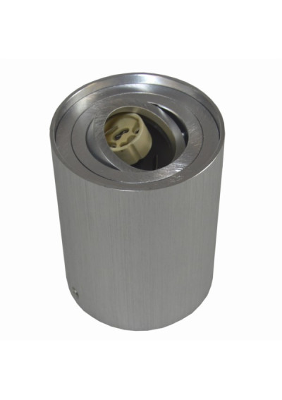 Solvia Brushed Silver Adjustable Ceiling Light | LEDownia.pl