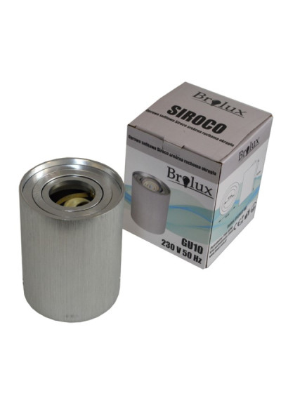 Solvia Brushed Silver Adjustable Ceiling Light | LEDownia.pl