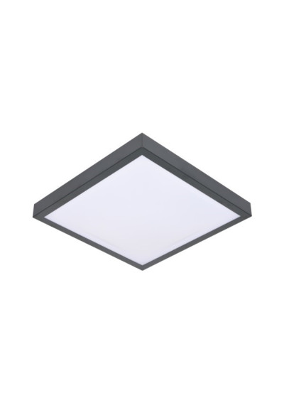 i LED Ceiling Light 24W 4000K Microwave Sensor | LEDownia.pl