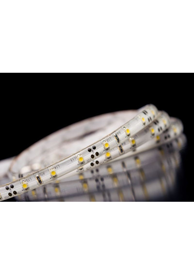 Taśma LED SMD 3528 12V 4.8W/m biała neutralna 60LED/m IP65 5m ledownia.pl