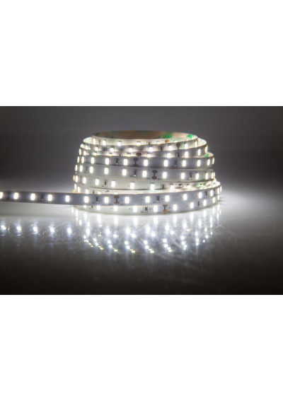 Taśma LED SMD 12V 4.8W/m biała zimna 60LED/m IP65 5m Premium ledownia.pl