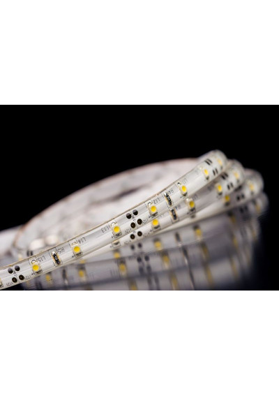 LED strip SMD 12V 4.8W/m cool white 60LED/m IP65 5m Premium ledownia.pl
