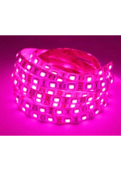 Taśma LED SMD 5050 12V 9.6W/m różowa 60LED/m IP20 5m ledownia.pl