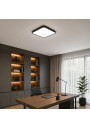 Luxa LED Ceiling Light 2xE27 Black in a home office