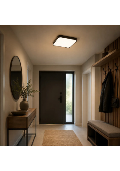 Luxa LED Ceiling Light 2xE27 Black in an entrance hall