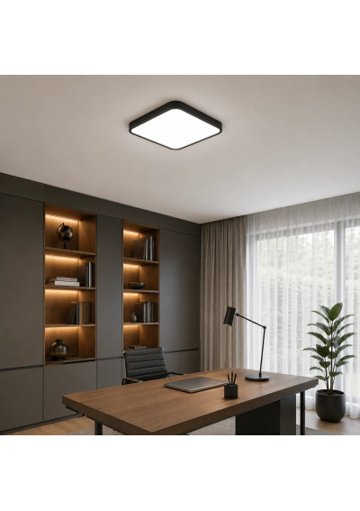 Luxa LED Ceiling Light 24W 4000K Black