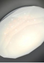 Sky ceiling light 16 W LED 4000 K white 51 cm - product image 5