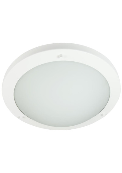 Plafon Aquila 10 W LED 6500 K biały 31 cm