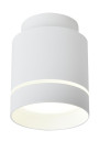 Oprawa stropowa Tuba 12 W LED 4000 K biały 7,9 cm