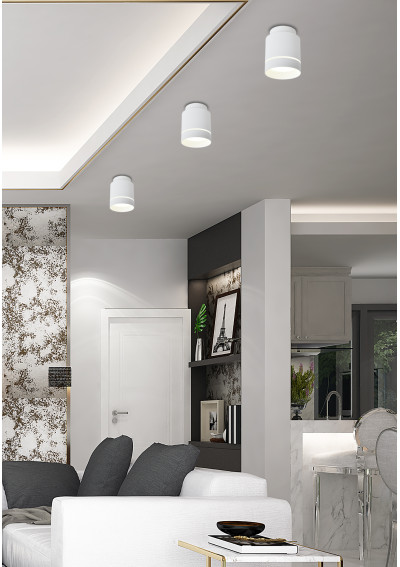 Oprawa stropowa Tuba 12 W LED 4000 K biały 7,9 cm - zdjęcie produktu 1
