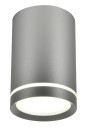 Lampa sufitowa Tuba 1xGU10 srebrny matowy 6,8 cm