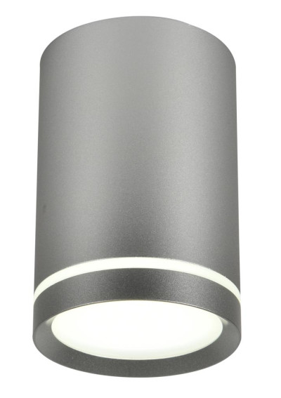 Lampa sufitowa Tuba 1xGU10 srebrny matowy 6,8 cm