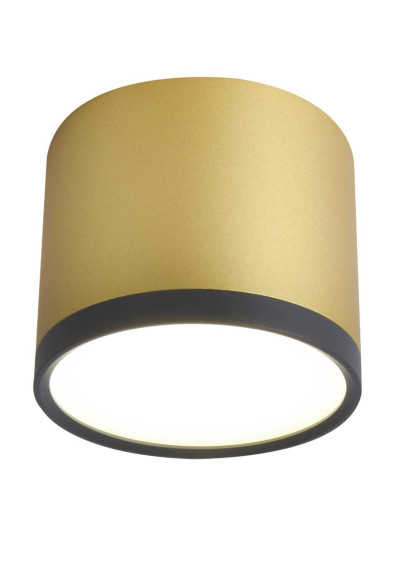 Tuba ceiling light 9 W LED 4000 K black / gold 8,8 cm