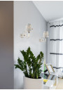 Batley wall light 1xE14 white 15 cm - product image 1
