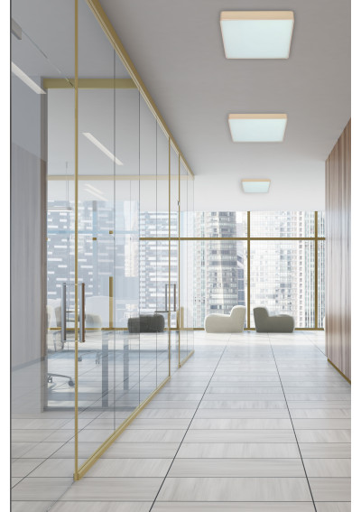 Quattro ceiling light 18 W LED 4000 K perłowy 35 cm - product image 2