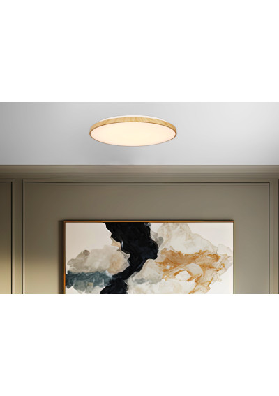 Tens ceiling light 24 W LED 3000 K white 59 cm - product image 1
