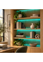 RGBW shelving application concept, AI visualization