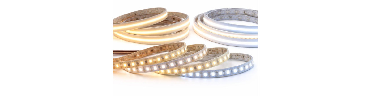 Taśmy LED białe – ciepła, neutralna i zimna | LEDownia.pl